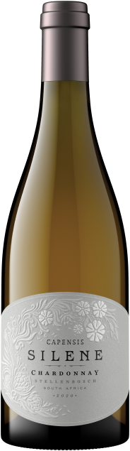 Capensis ‘Silene’ Chardonnay
